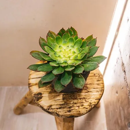 Stratus Loft Gran Canaria, Elegancia Junto Al Mar. * Las Palmas de Gran Canaria