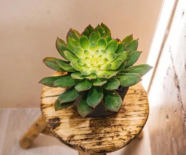 Stratus Loft Gran Canaria, Elegancia Junto Al Mar. * Лас-Пальмас-де-Гран-Канарія